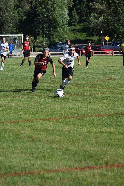 也是他们本 也是他们本