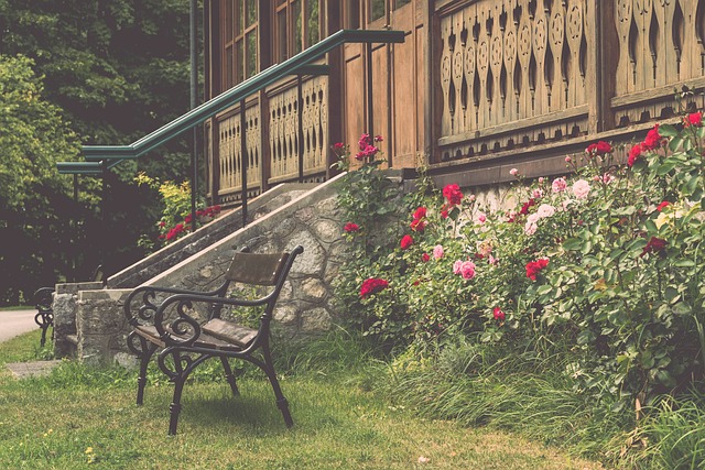 粉絲所期望 粉絲所期望